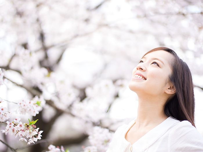 桜を見ている女性